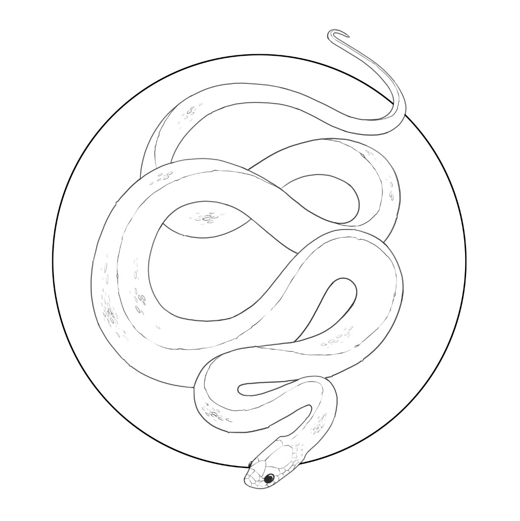 Jason Flack King Snake