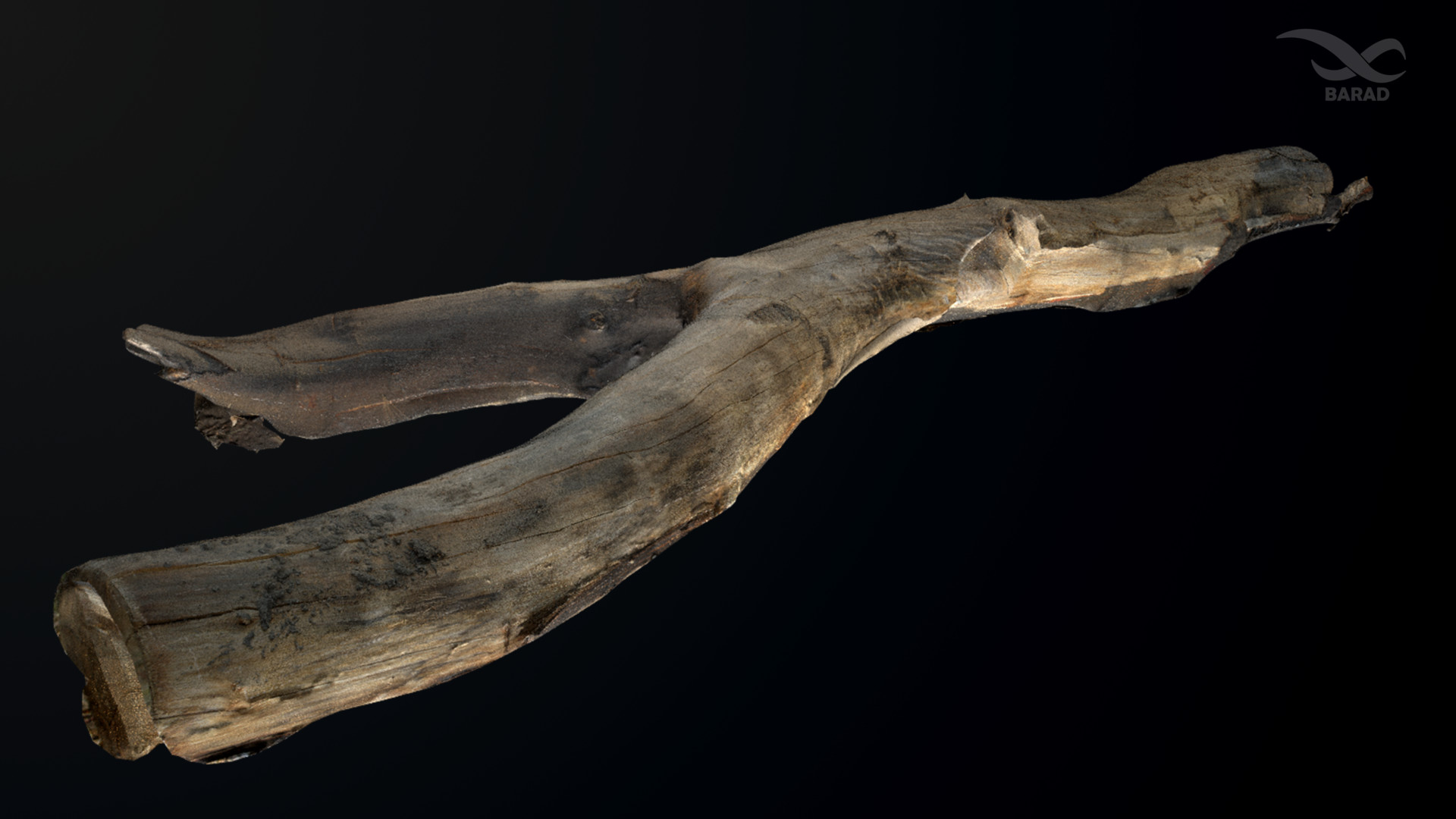 Artstation Tree Trunk 3d Scan Model Barad 3d Scan Texture