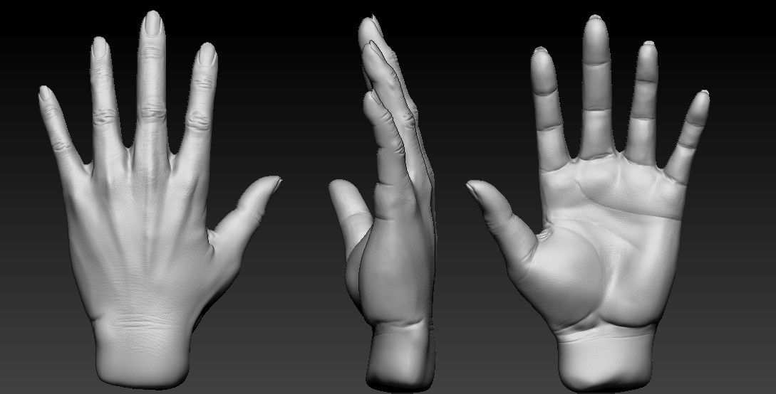 sculpt hand in zbrush