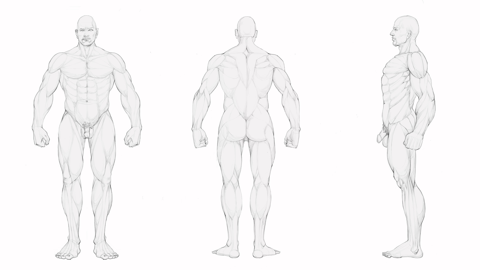 ArtStation - 男人体三视图1, YUBO ZHAO