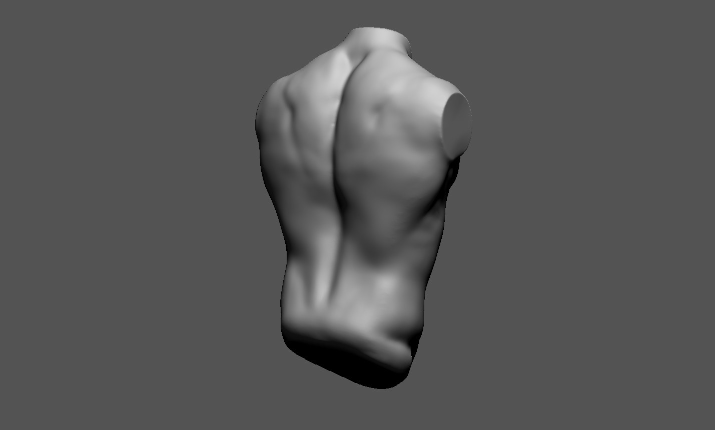 David Sousa - Anatomy male torso - Realistic vs Stylized