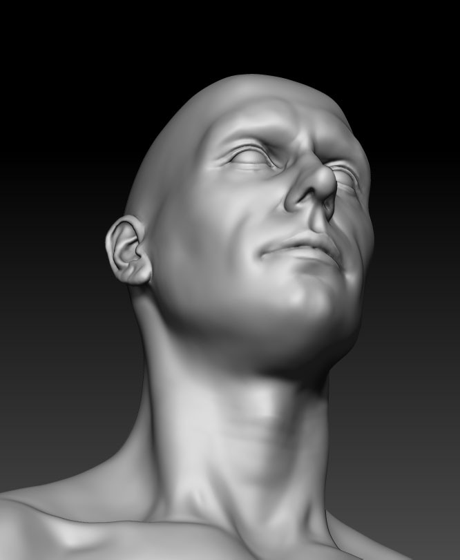 Male head
