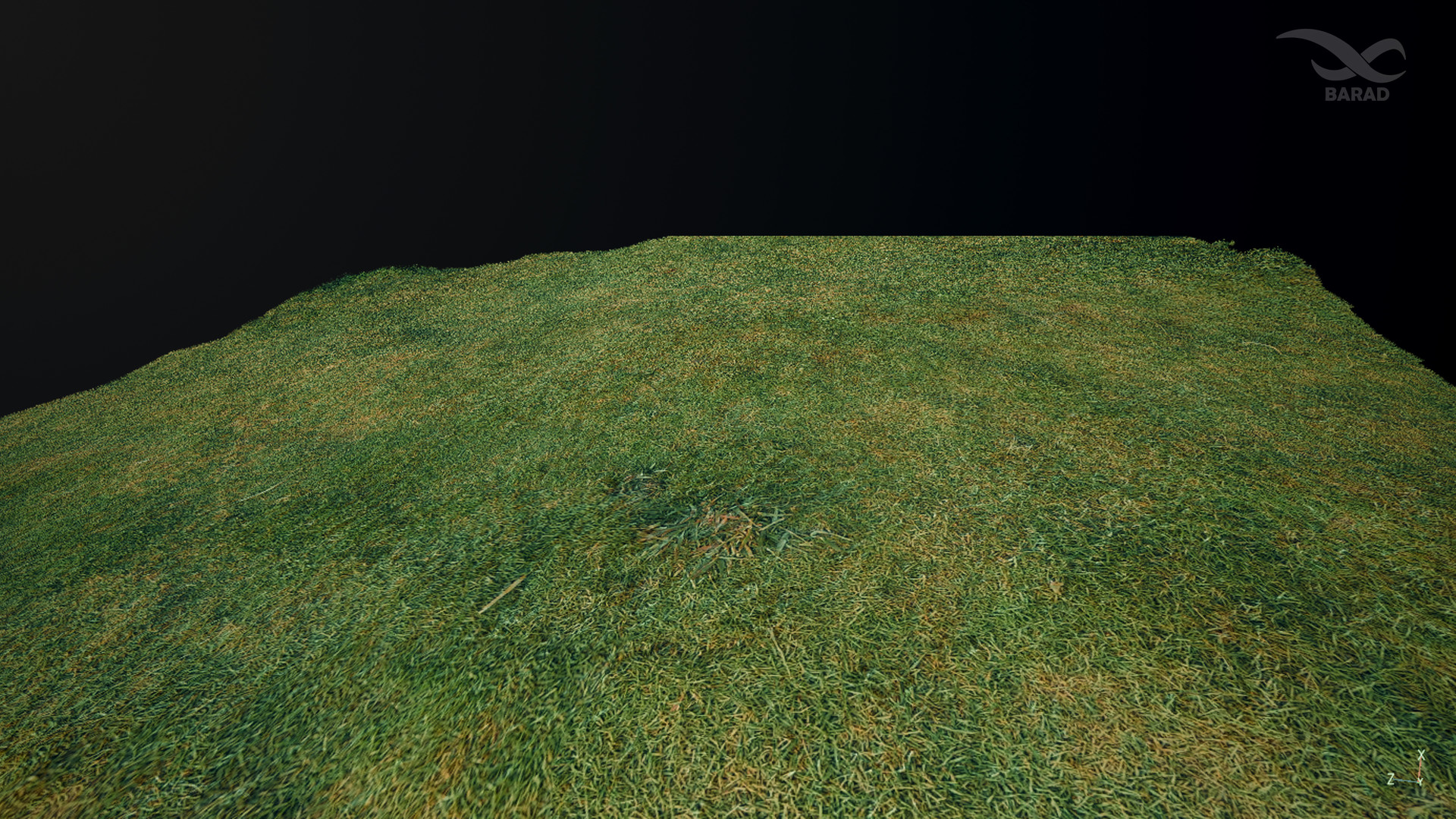 Barad 3d Scan Texture Grass 3d Scan Texture
