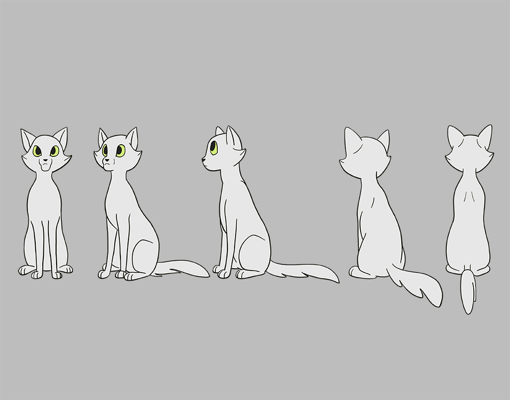 Cat Turnaround