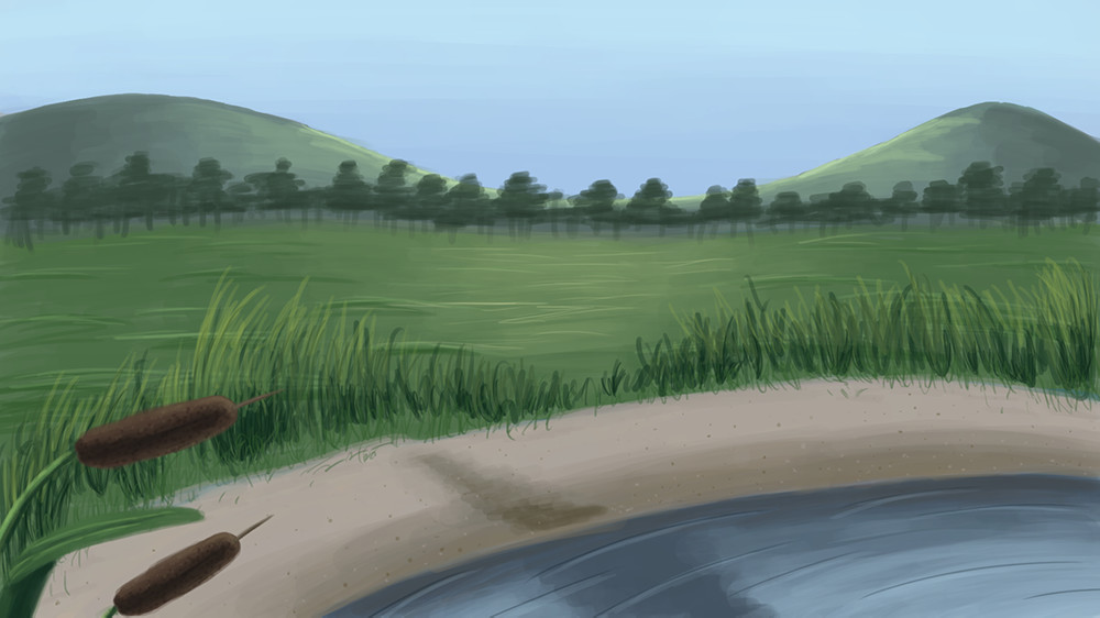 Pond