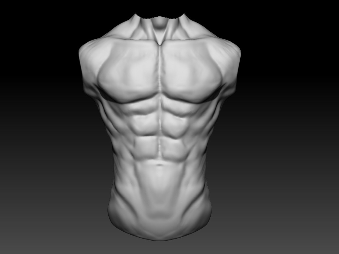 ArtStation - Human Male Torso Anatomy Study