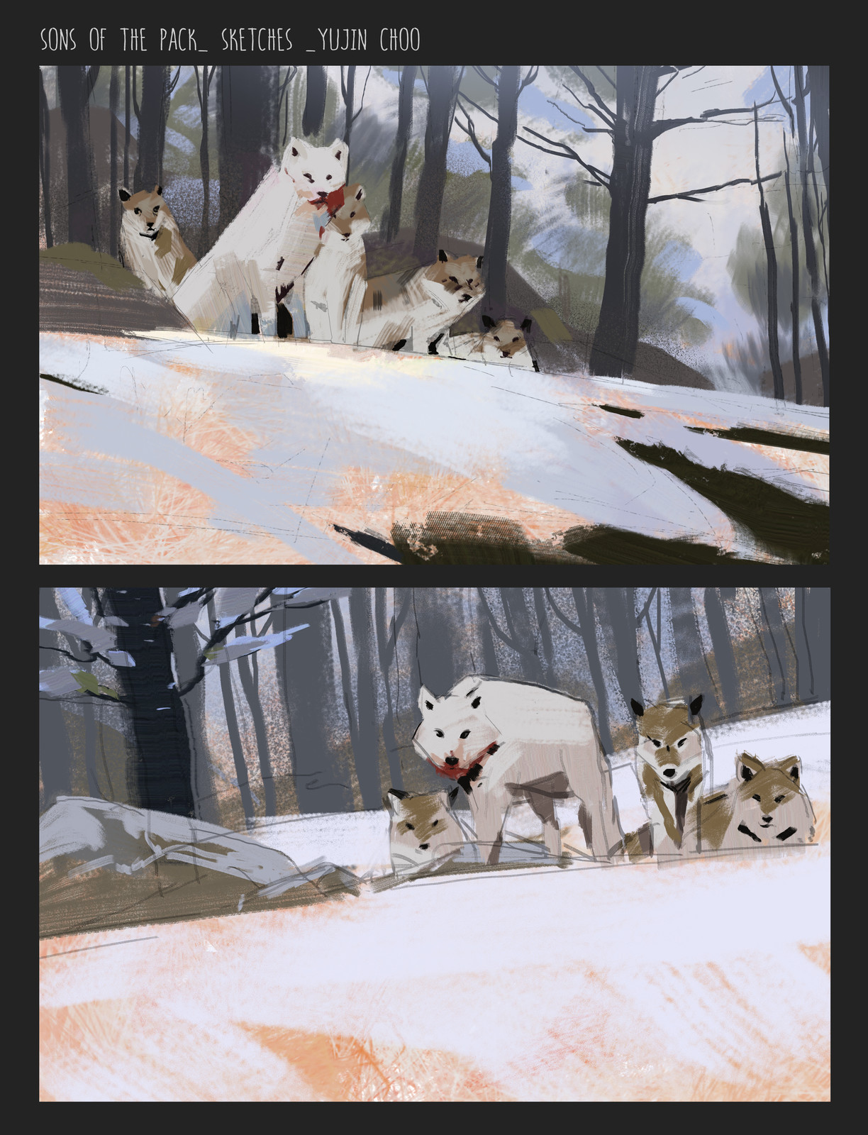 sketches for "Sons of the Pack"