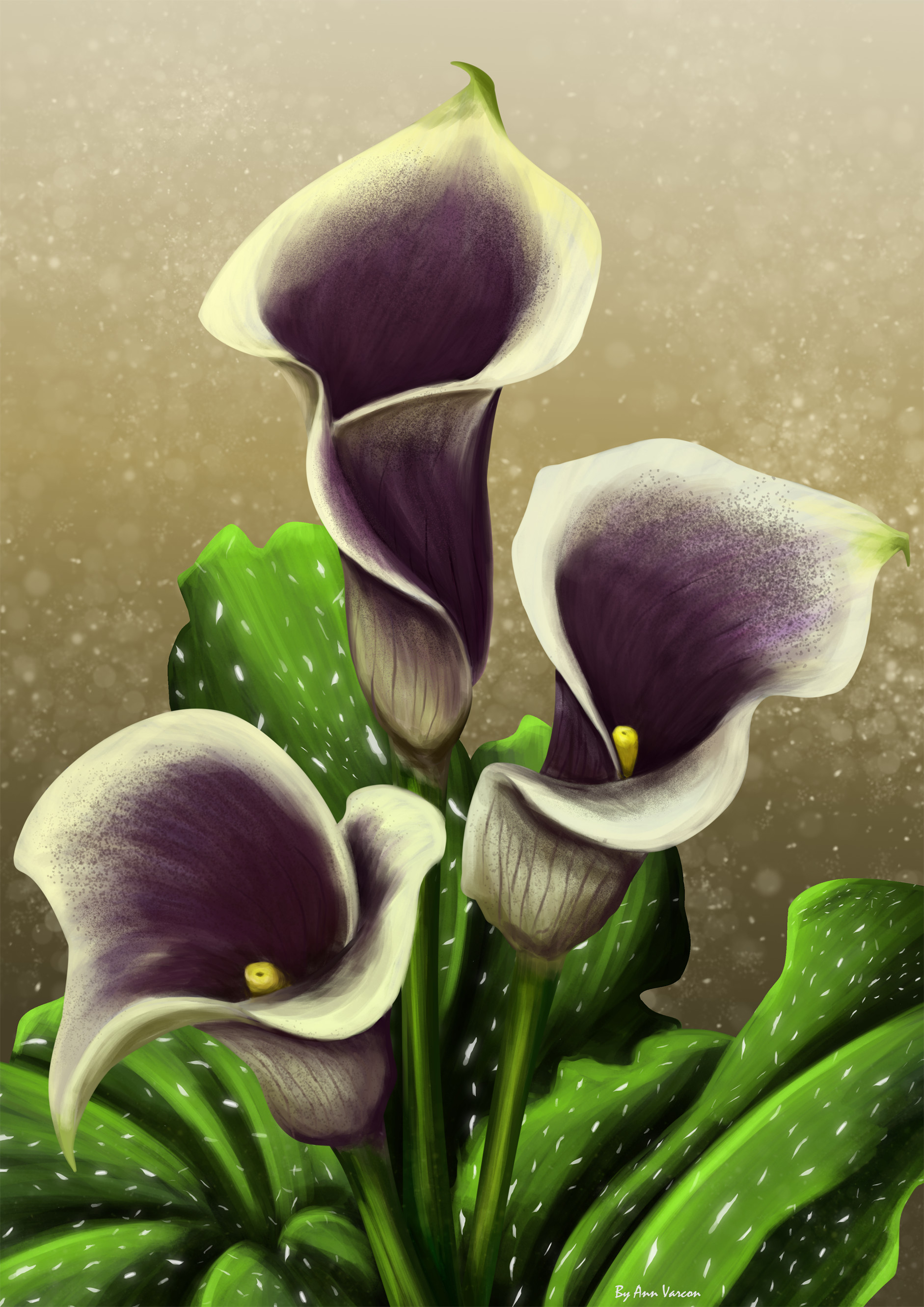 Artstation Calla Lily Painting Ann Varcon