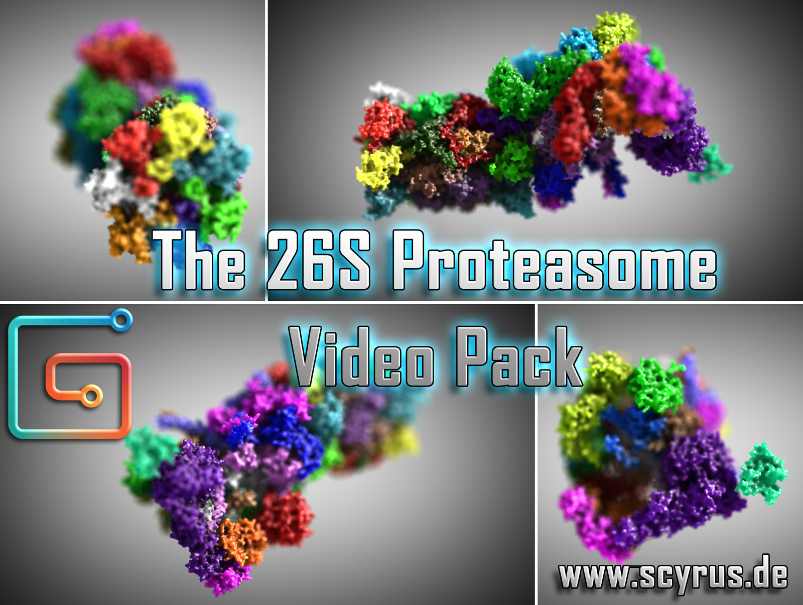 The 26S Proteasome Video Collection