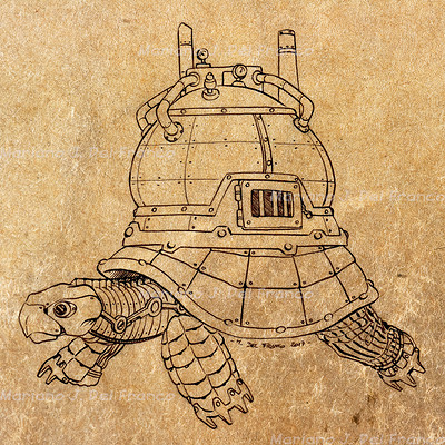 Mariano j del franco tortuga 01
