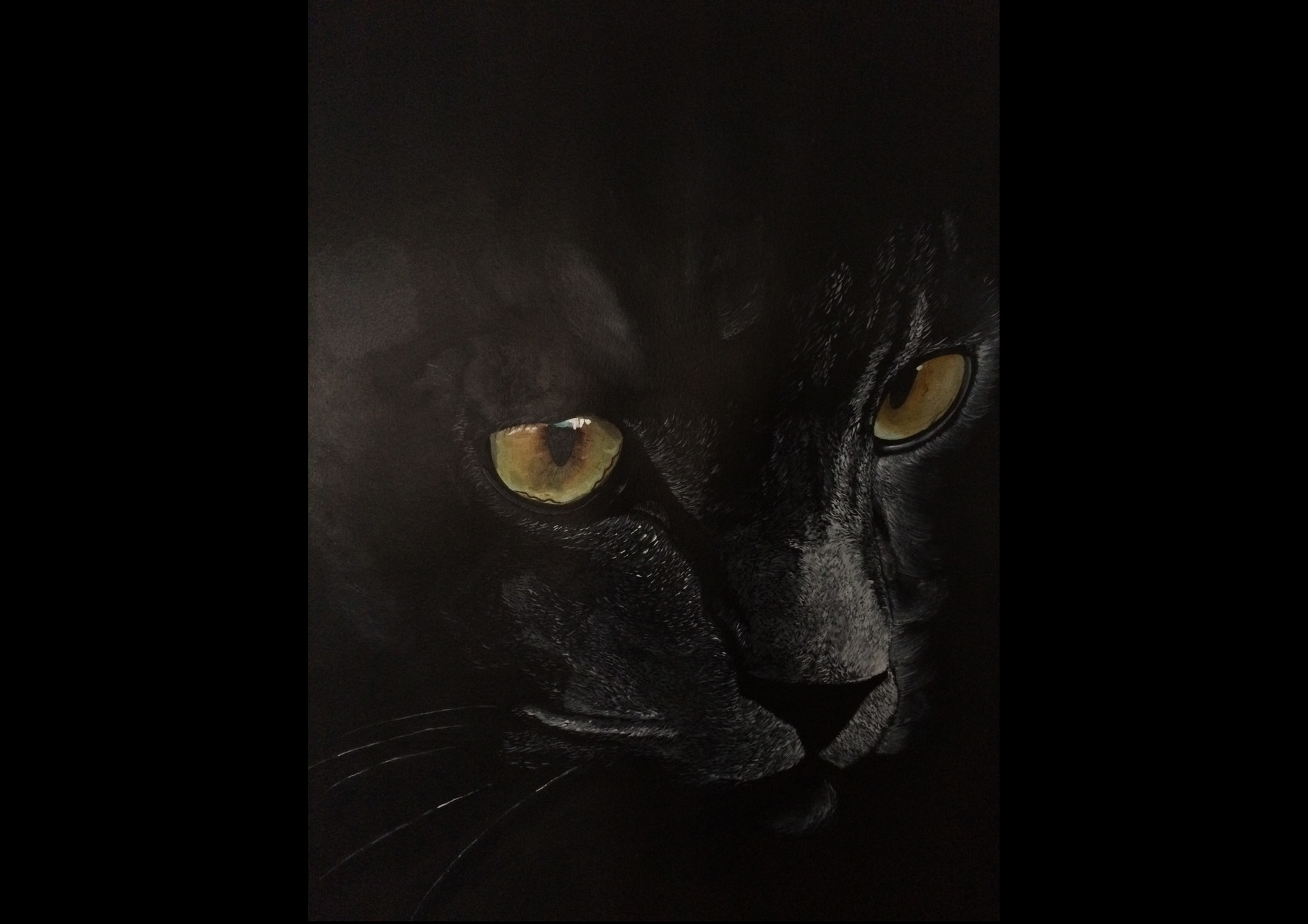Artstation Cat Eyes Pauline Daclub