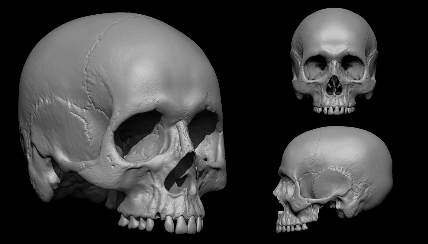 Still Life Sculpts Dump