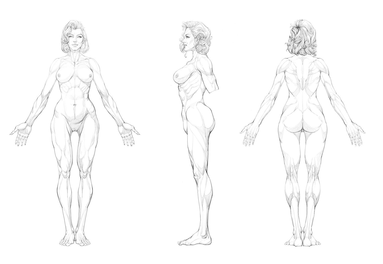 Dibujos cuerpo femenino