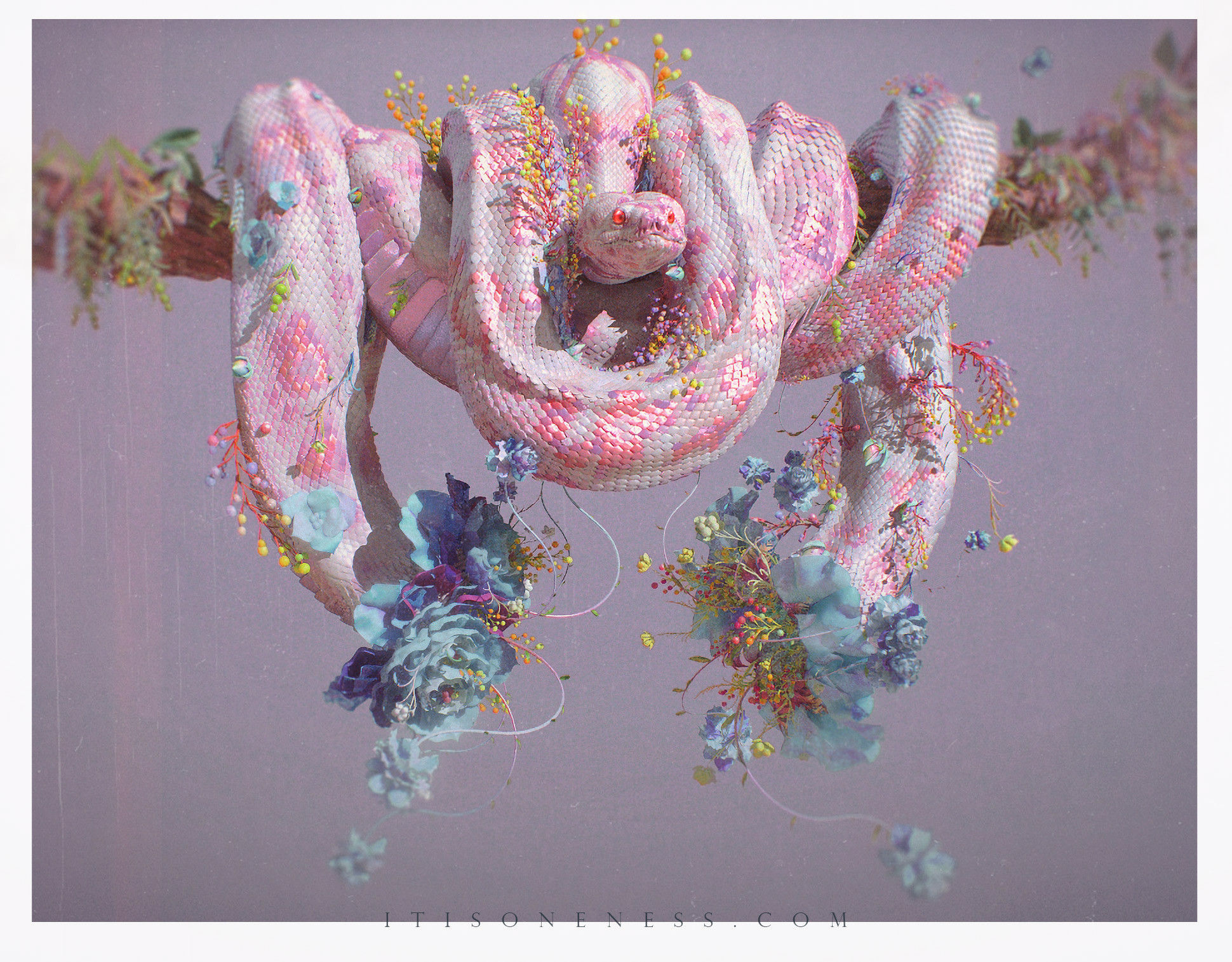 Yuuki Morita - FLOWER PYTHON