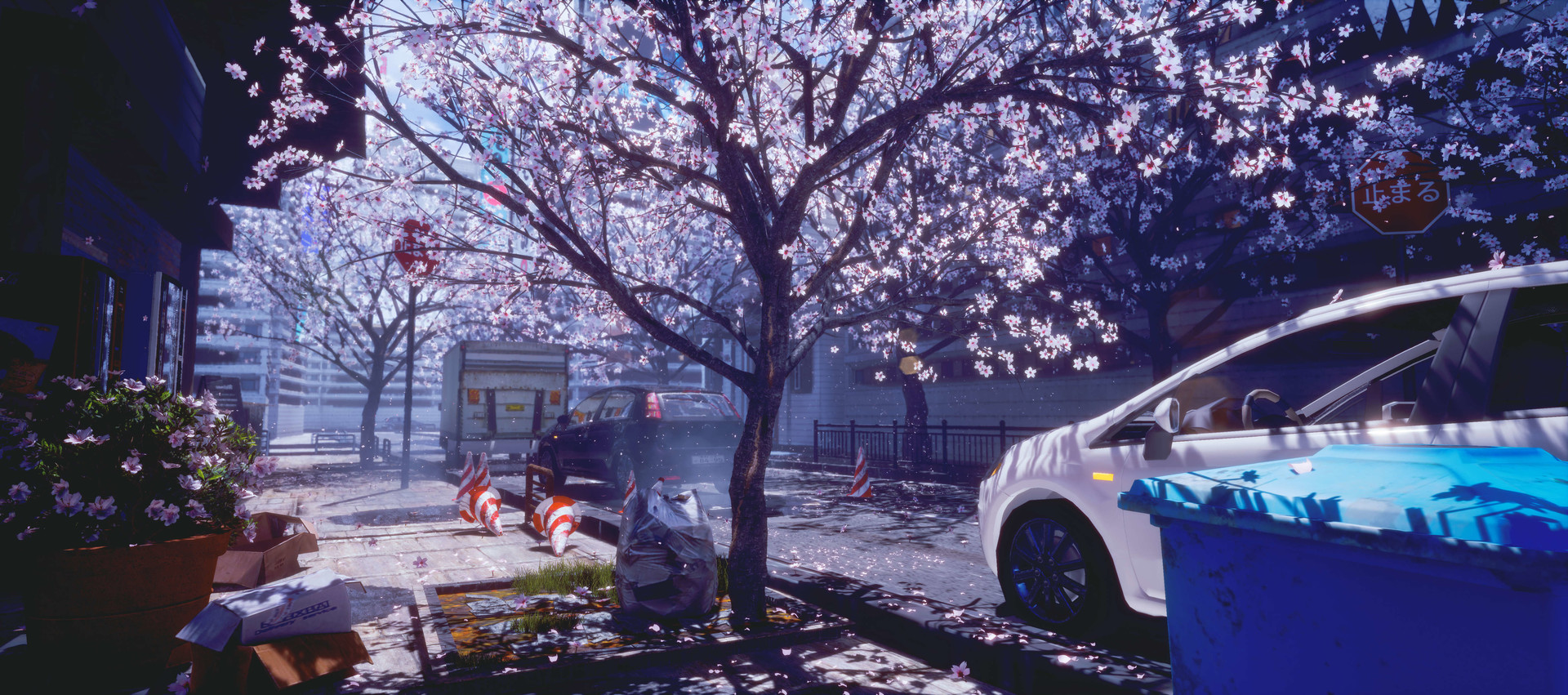 Artstation Sakura Of Street By Rengreng Hins Ll Artstation Sakura Of Street By Rengreng Hins Ll