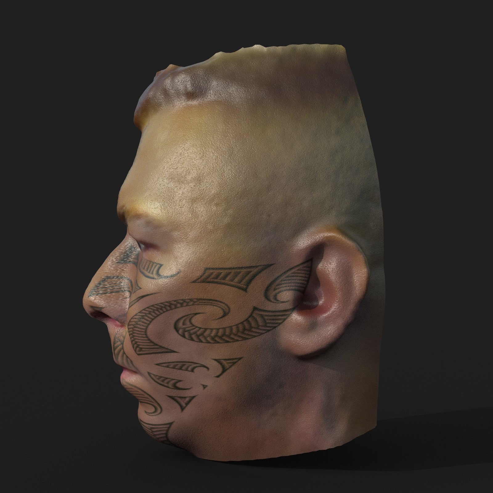 3D Portrait - Side View