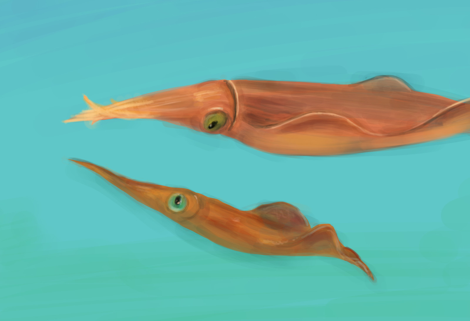 Kurativ Couple Of Squid Kurativ Couple Of Squid