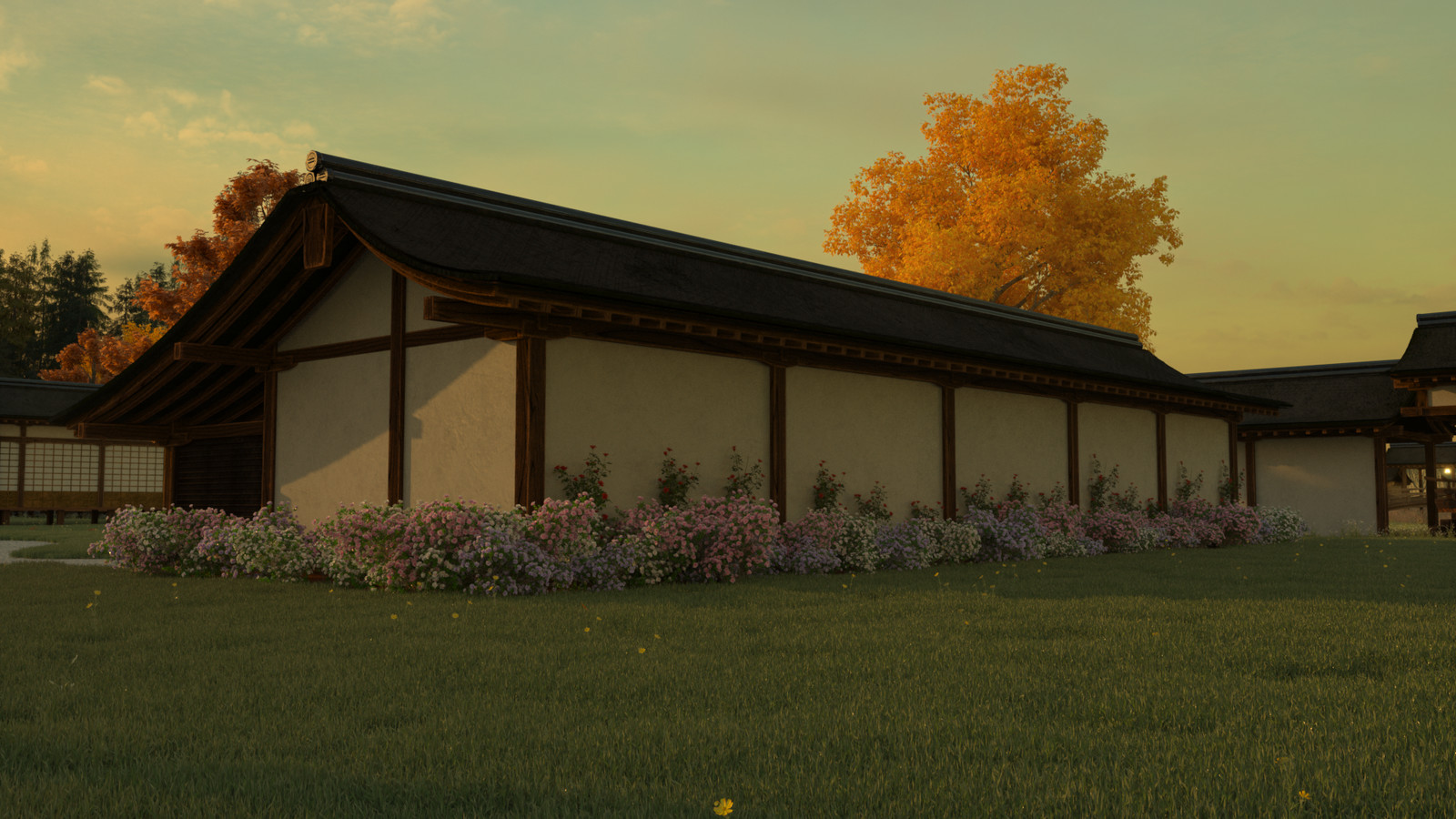 View of one of the many sheds on the terrain