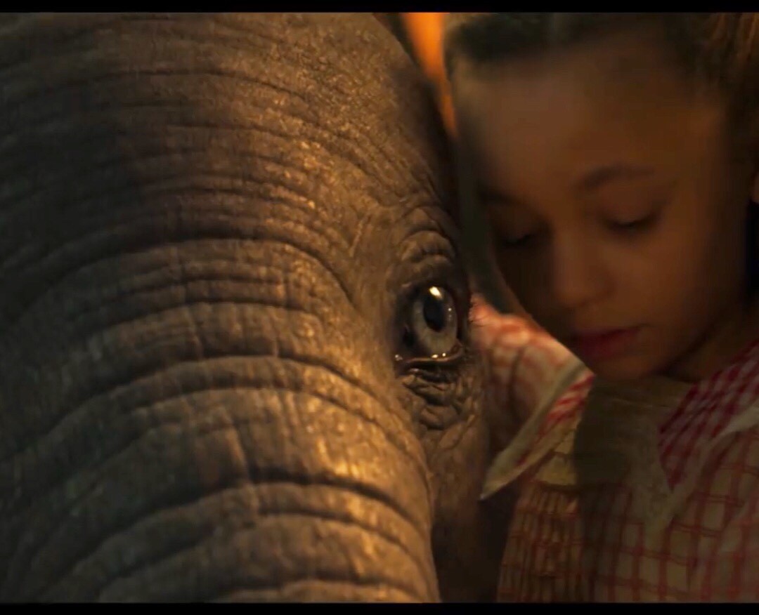 Dumbo Character Model