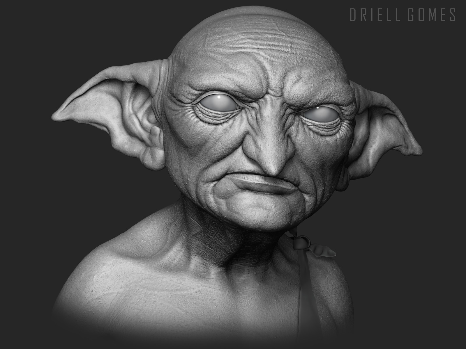 Driell Gomes - The House Elf