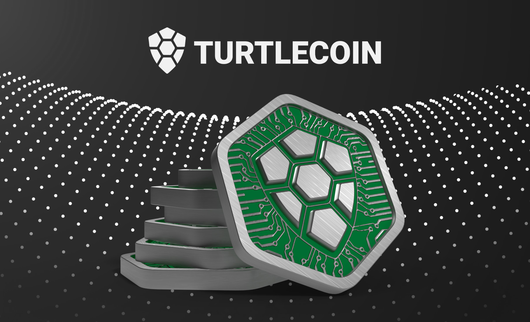 ArtStation Turtlecoin