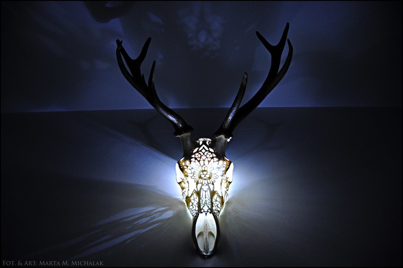 Deer sales skull lights