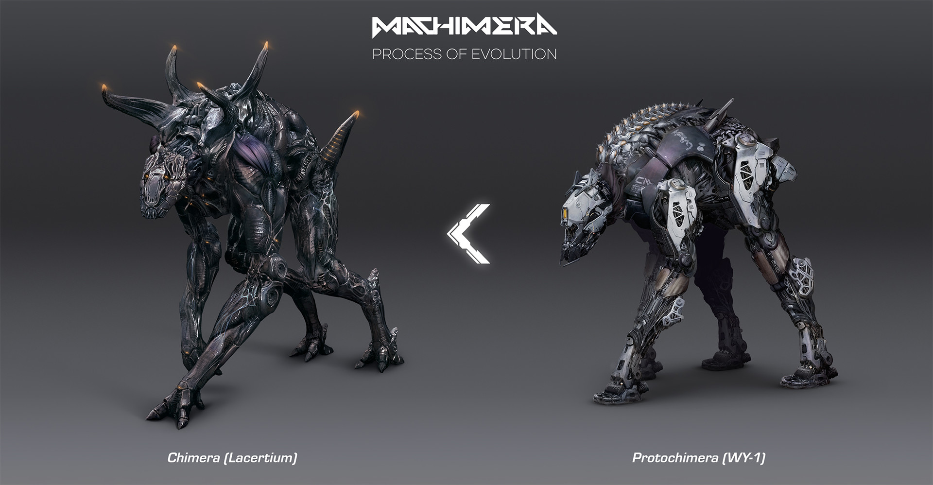 michael-michera-evolution.jpg?1529596750