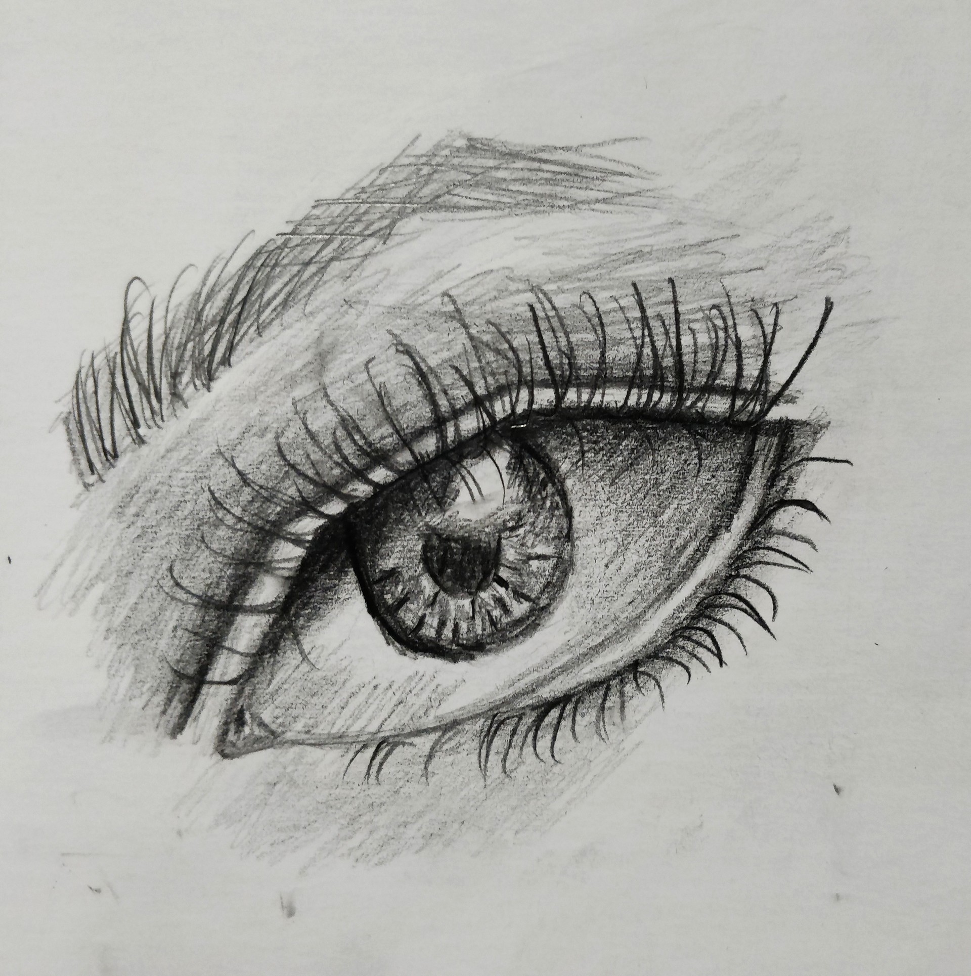 ArtStation - Eye doodle