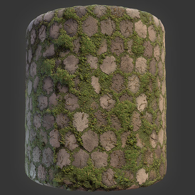 Mossy Pavers Material