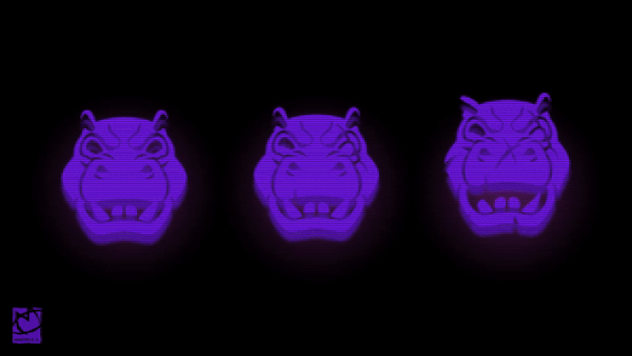 Hippo phases