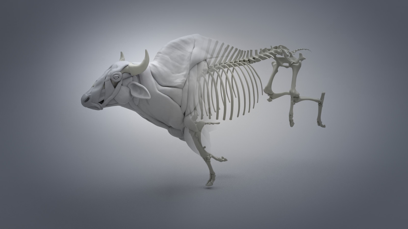 Creature FX/Rigging : Seppe V angrunderbeek