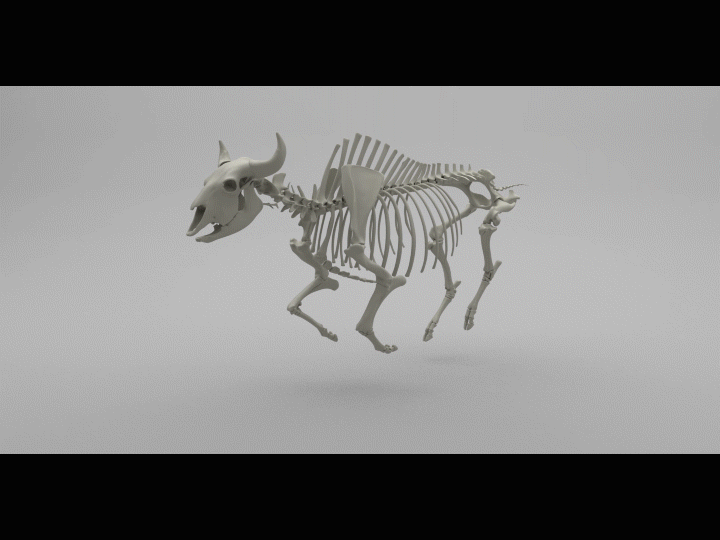 Creature FX/Rigging : Seppe V angrunderbeek