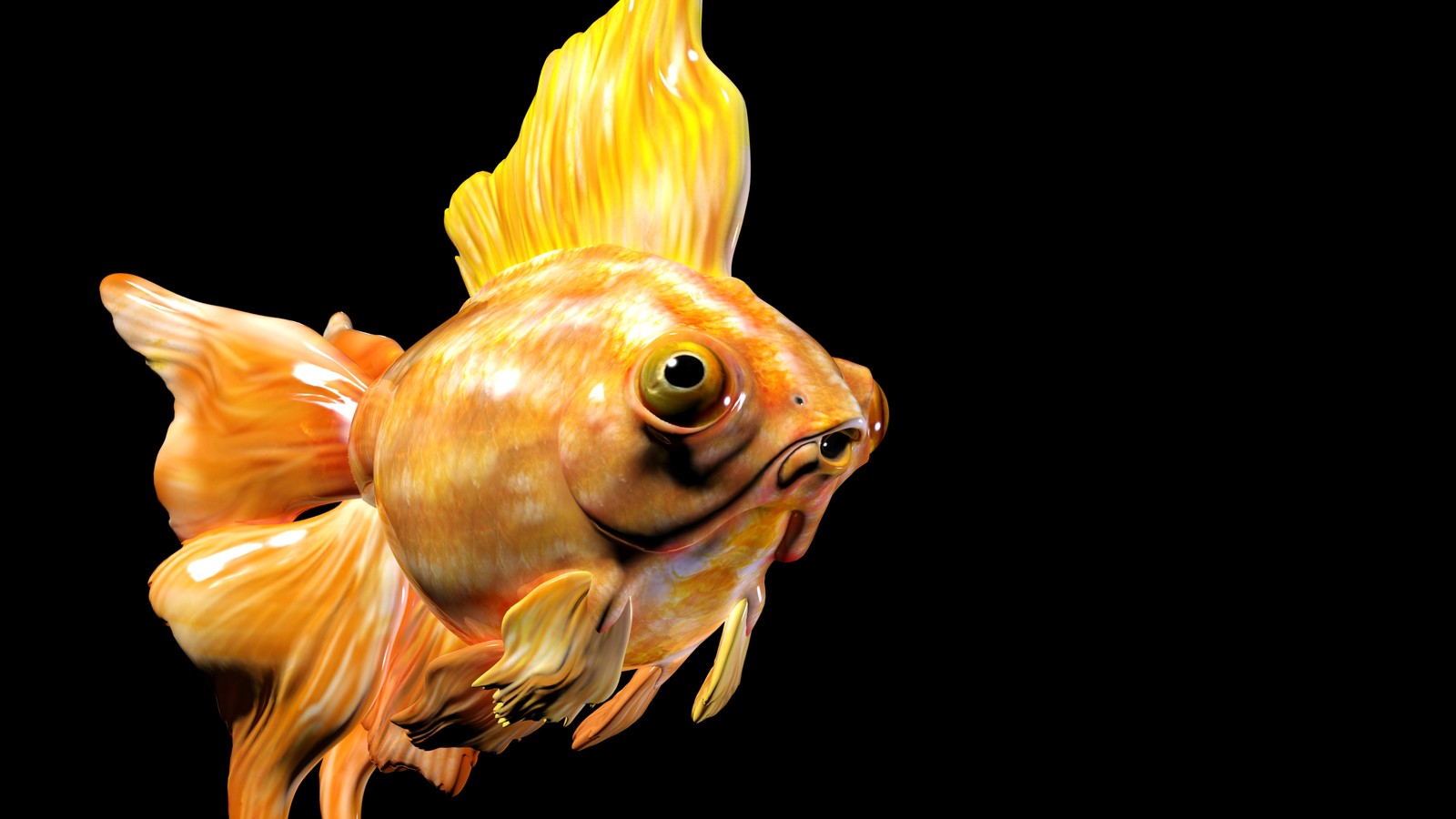 goldfish