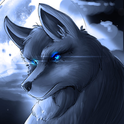 Diogo rodrigues wolf