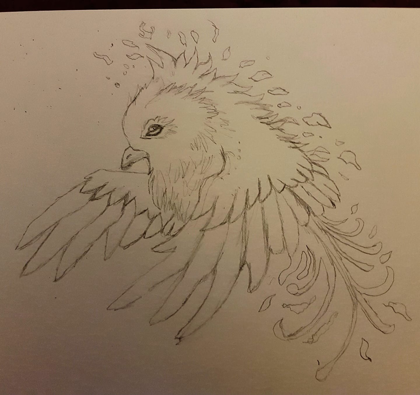 ArtStation - Baby Phoenix