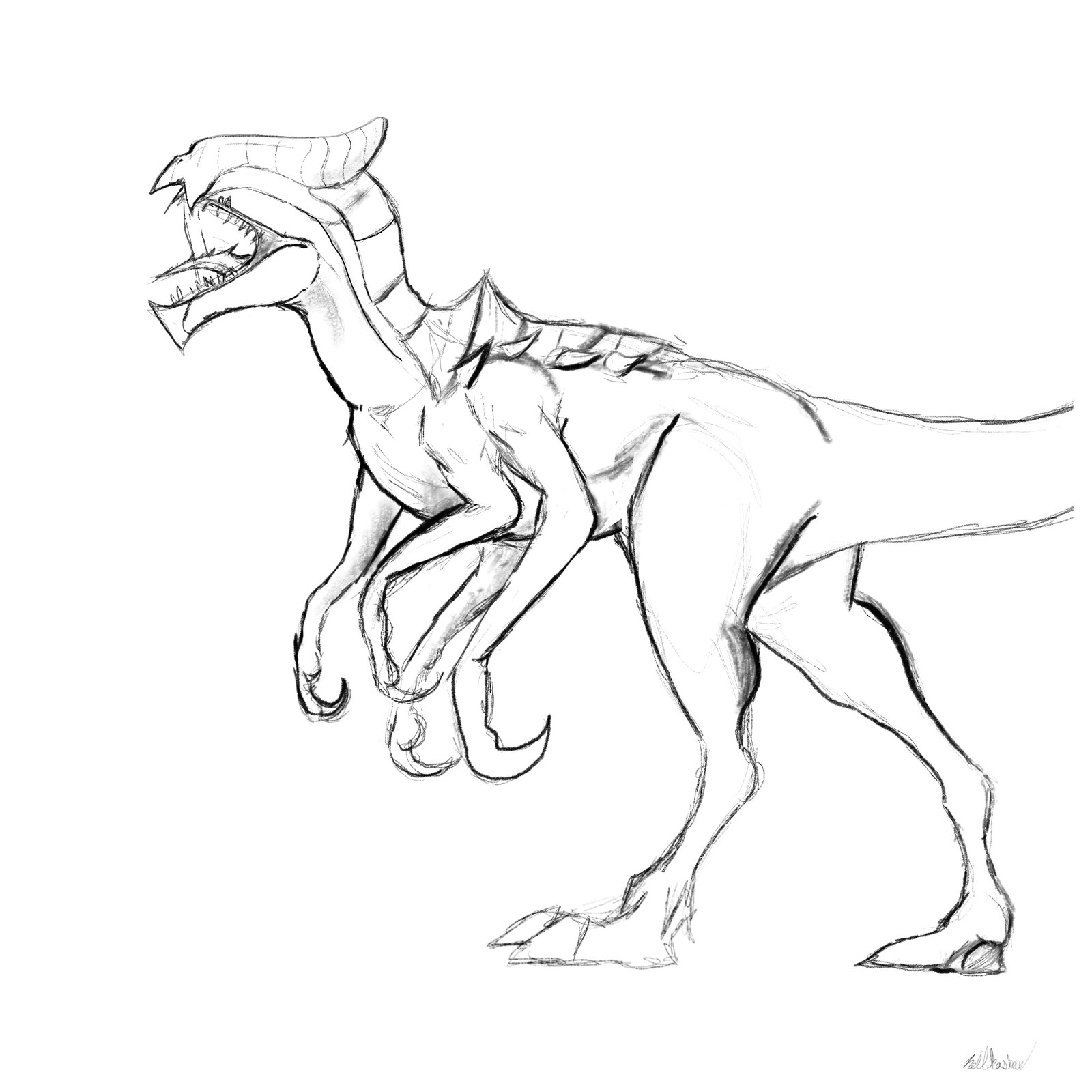 Initial Gaiaraptor rough sketch.