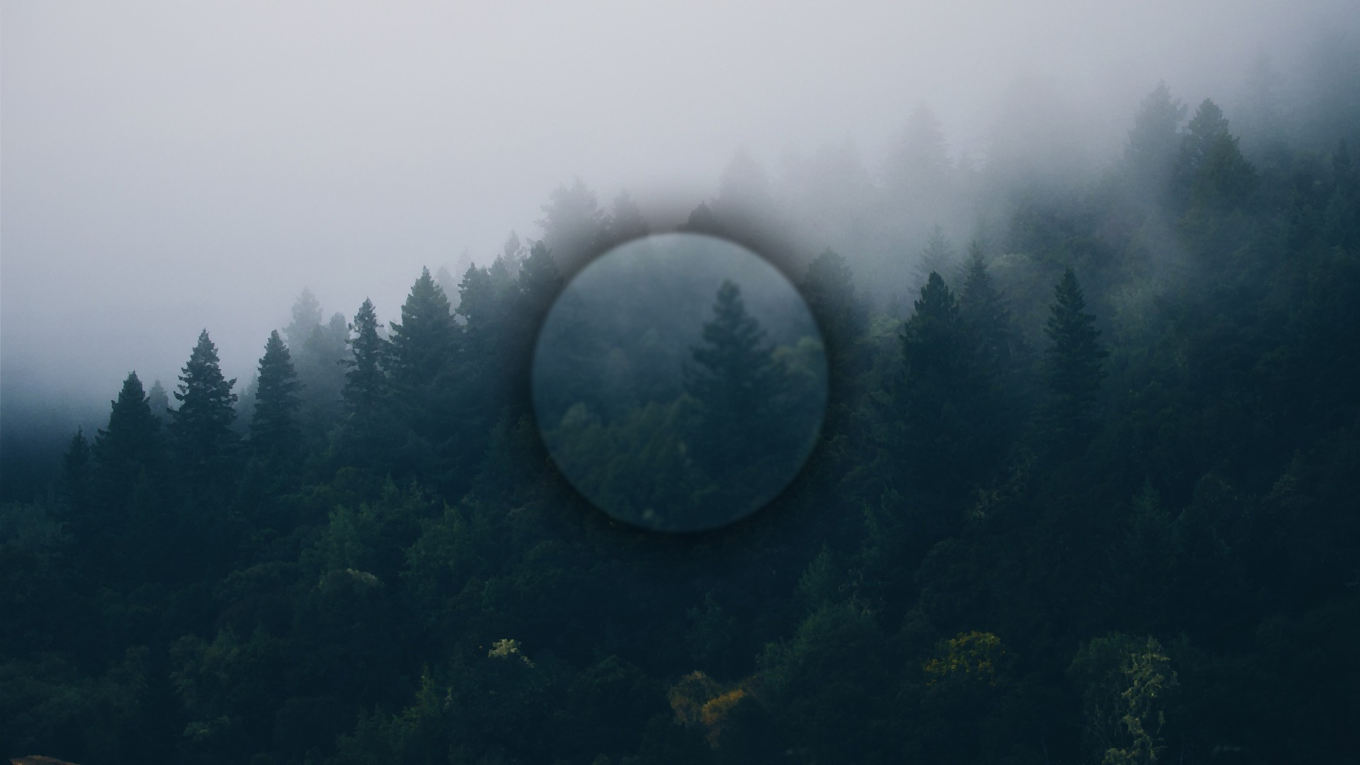 Artstation Minimalistic Forest Chris Lea