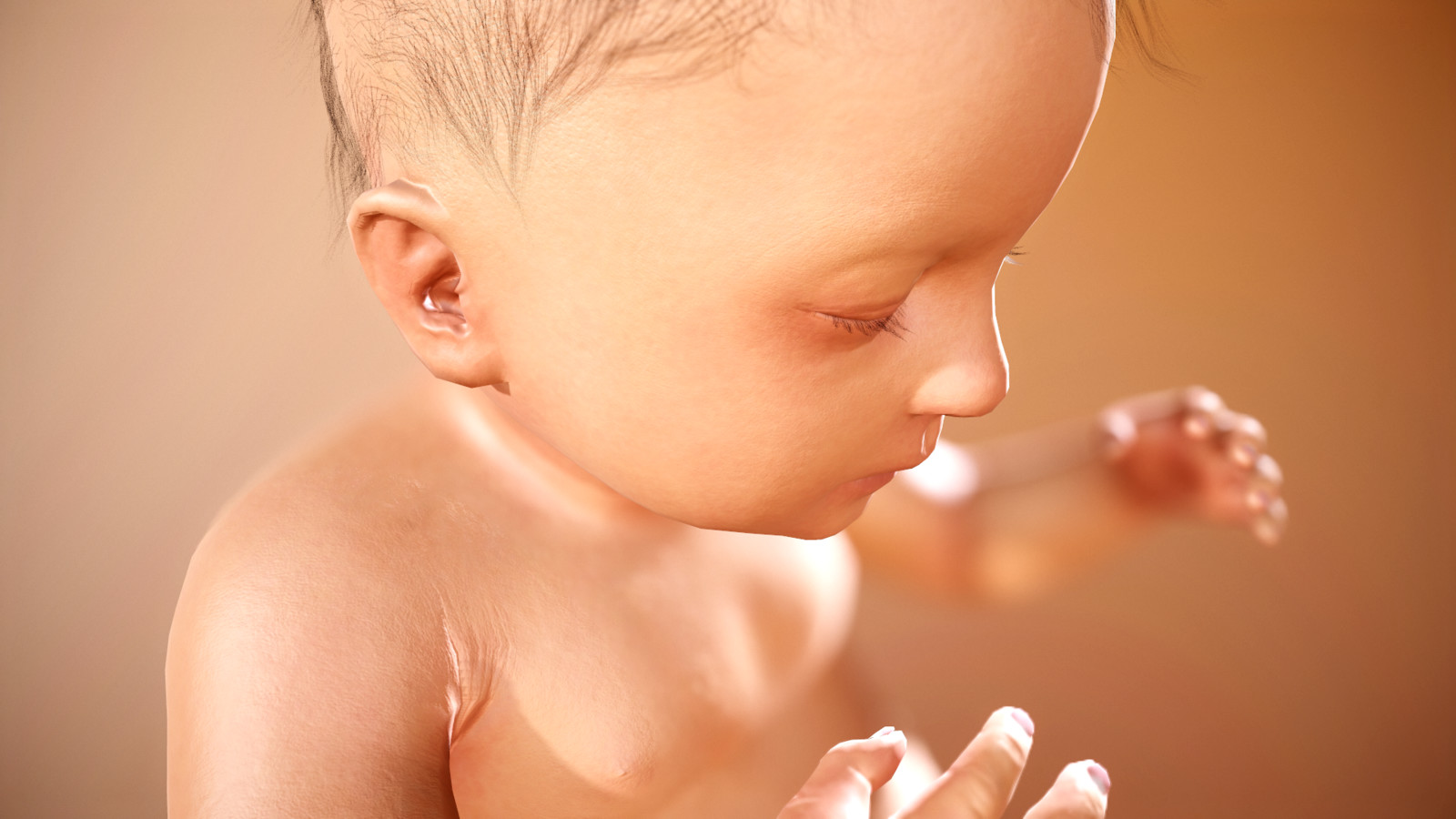 Screenshot Marmoset toolbag