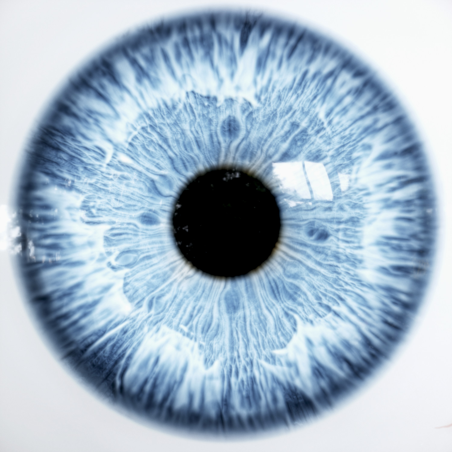 Pelmel sammenholdt Også ArtStation - Ultimate Eye Generator