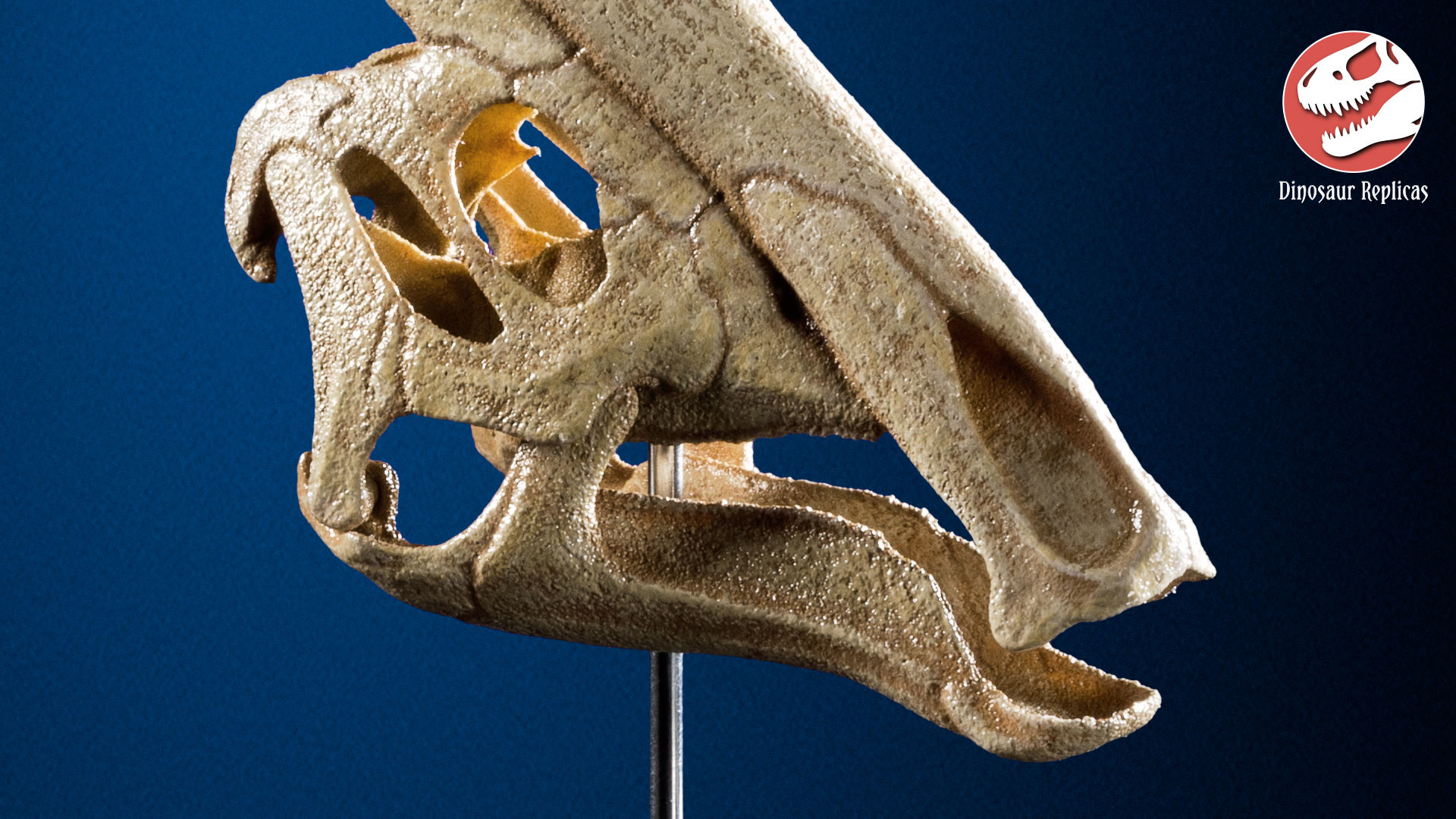 3d printed dinosaur skull