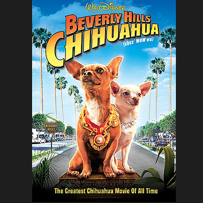 Beverly Hills Chihuahua