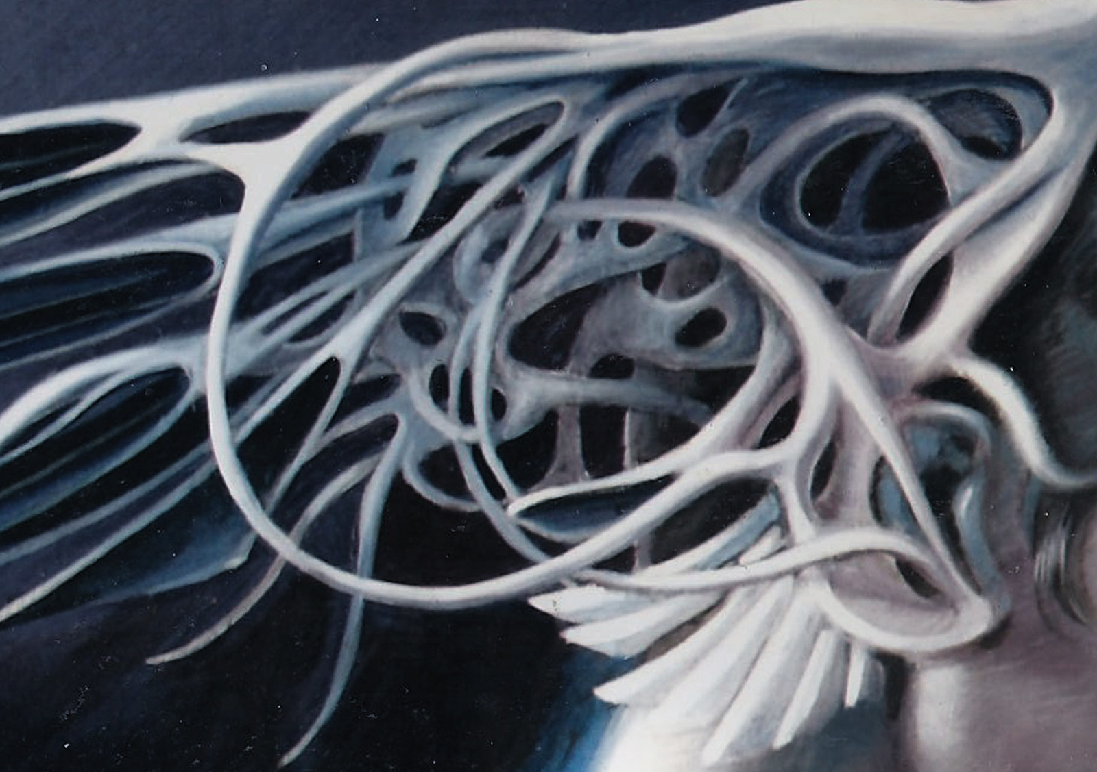 detail wing