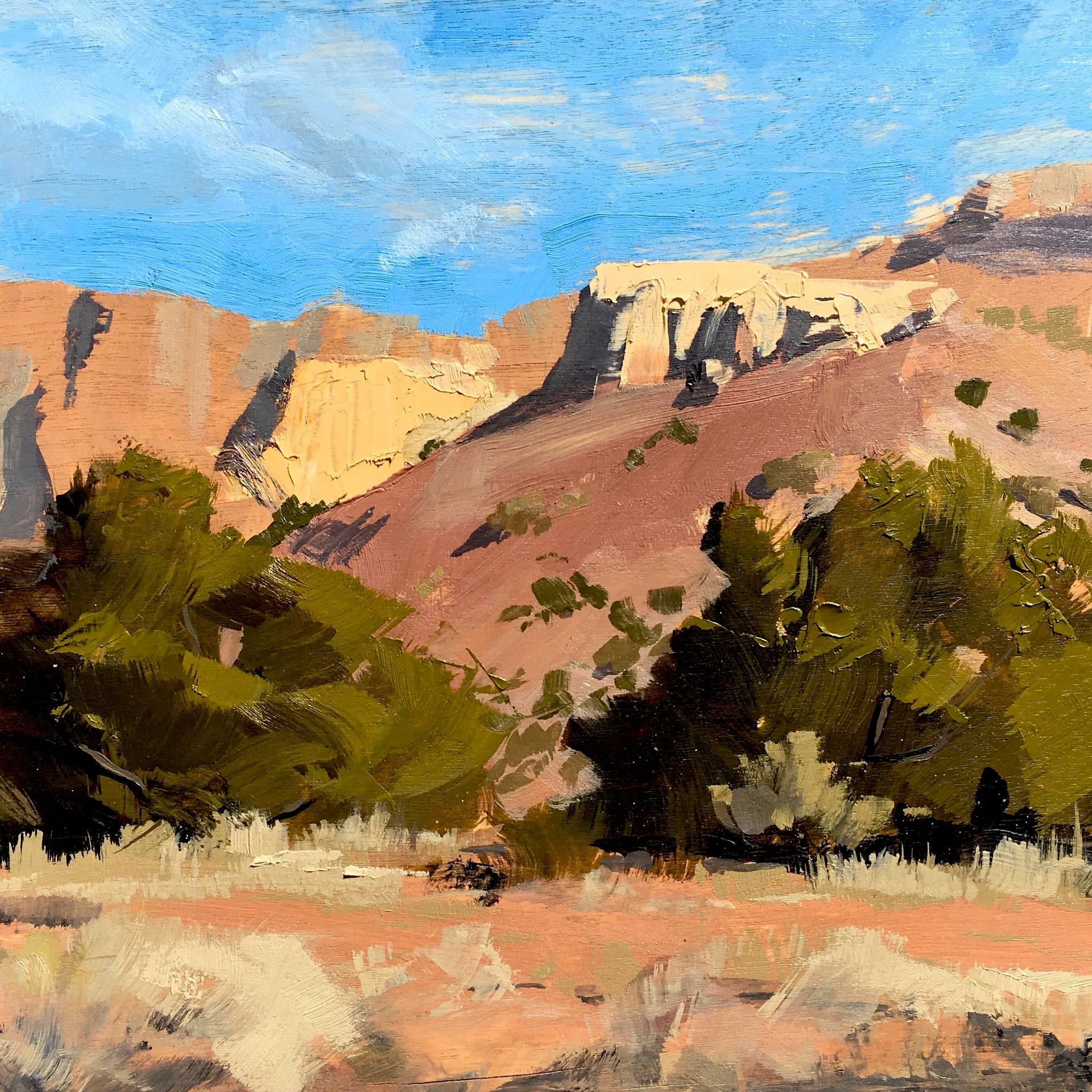 Artstation Plein Air Oil Painting At Ghost Ranch New Mexico