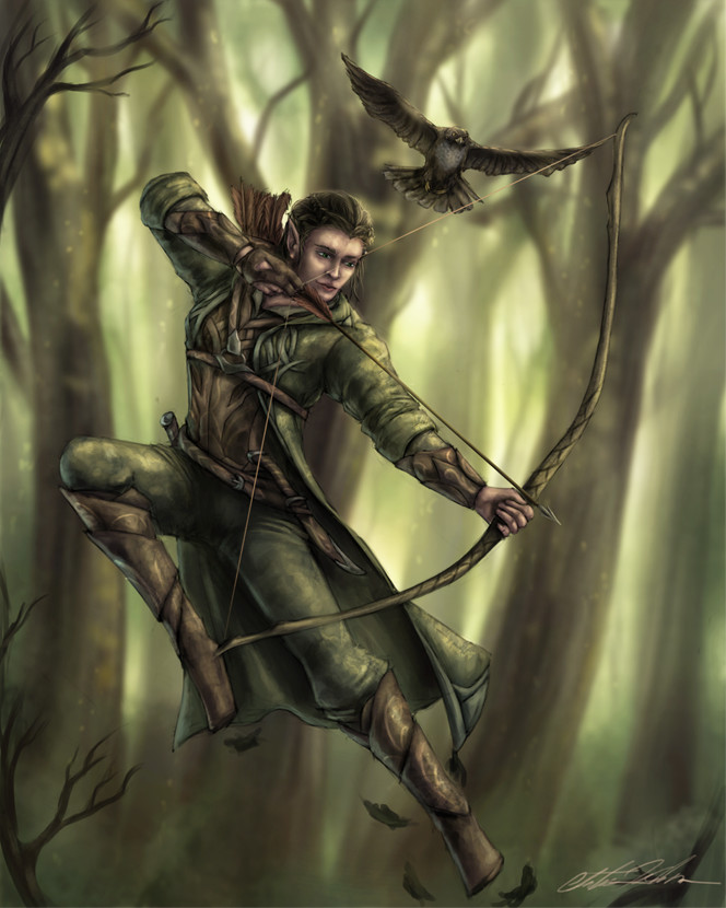 Male Wood Elf Archer Art.