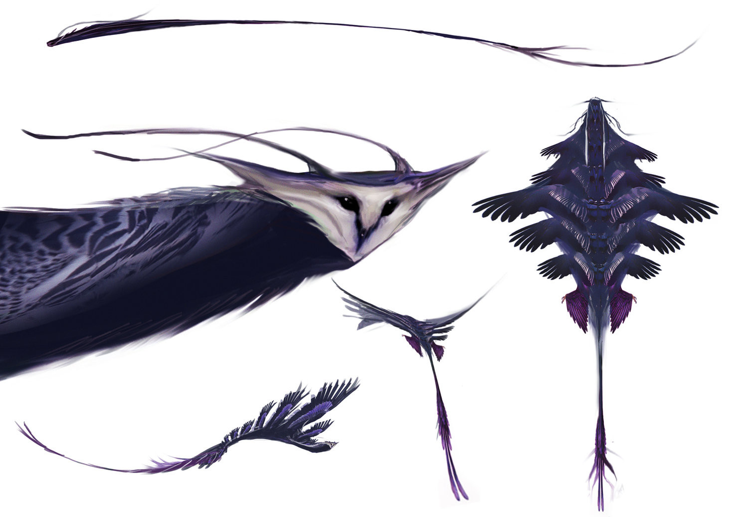 Dan Baker Occamy Idea's for Fantastic Beasts.