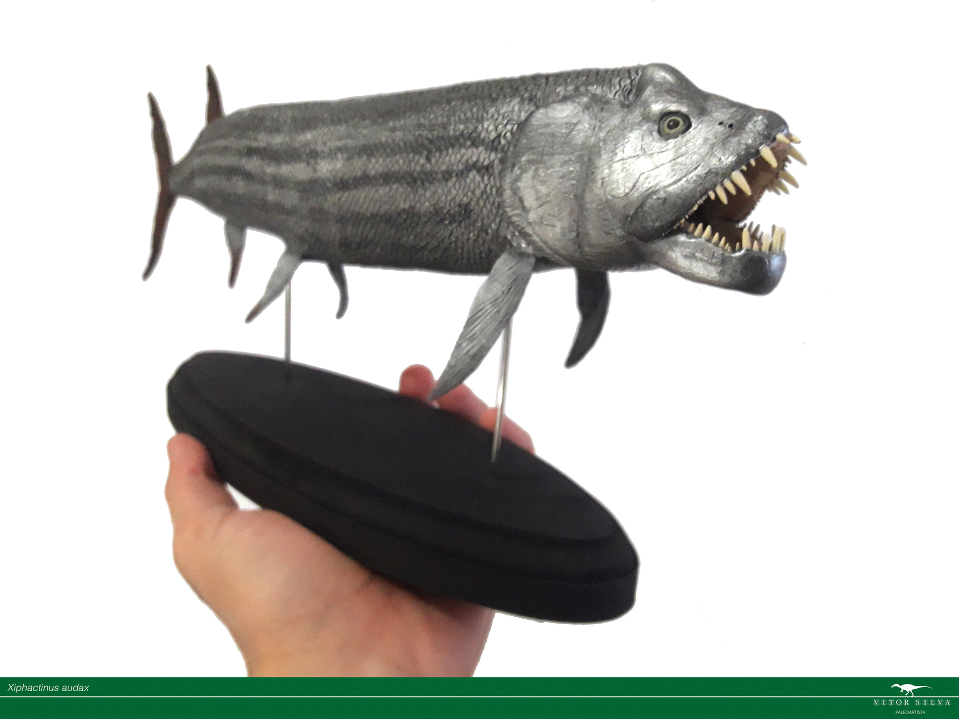 xiphactinus toy