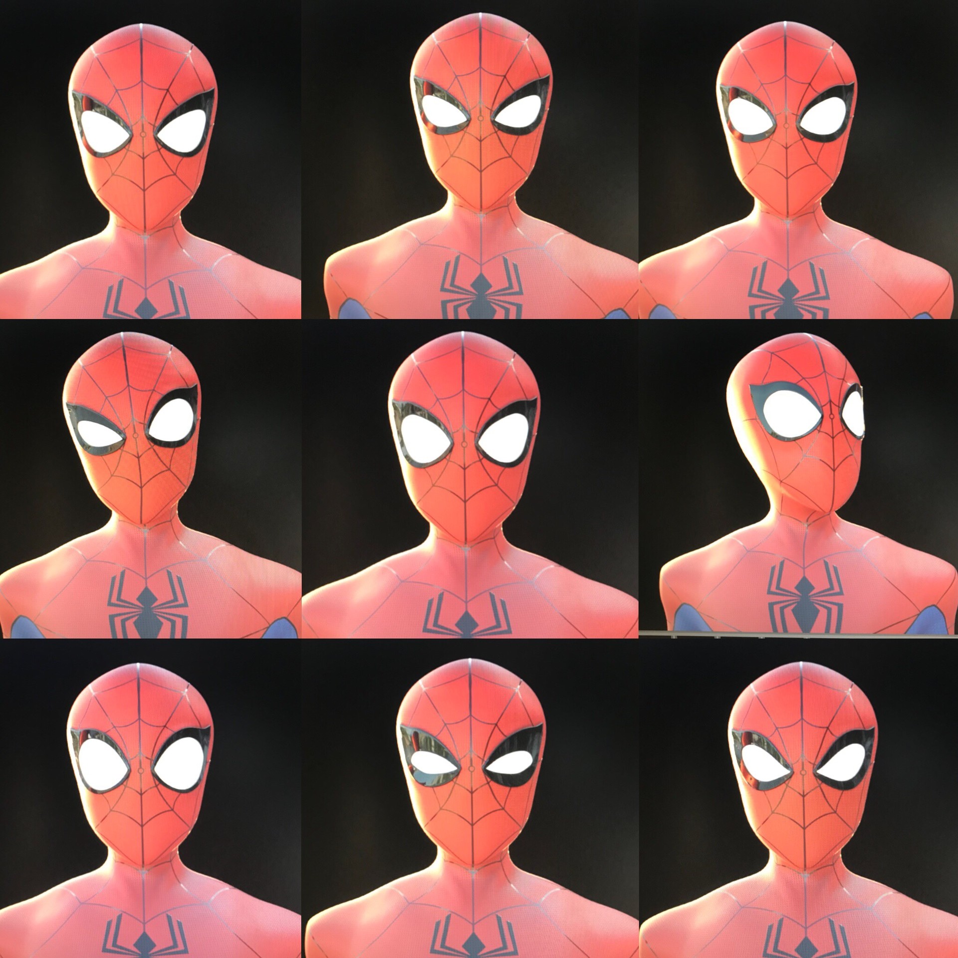 Bryce Lennox Spectacular SpiderMan 3D model