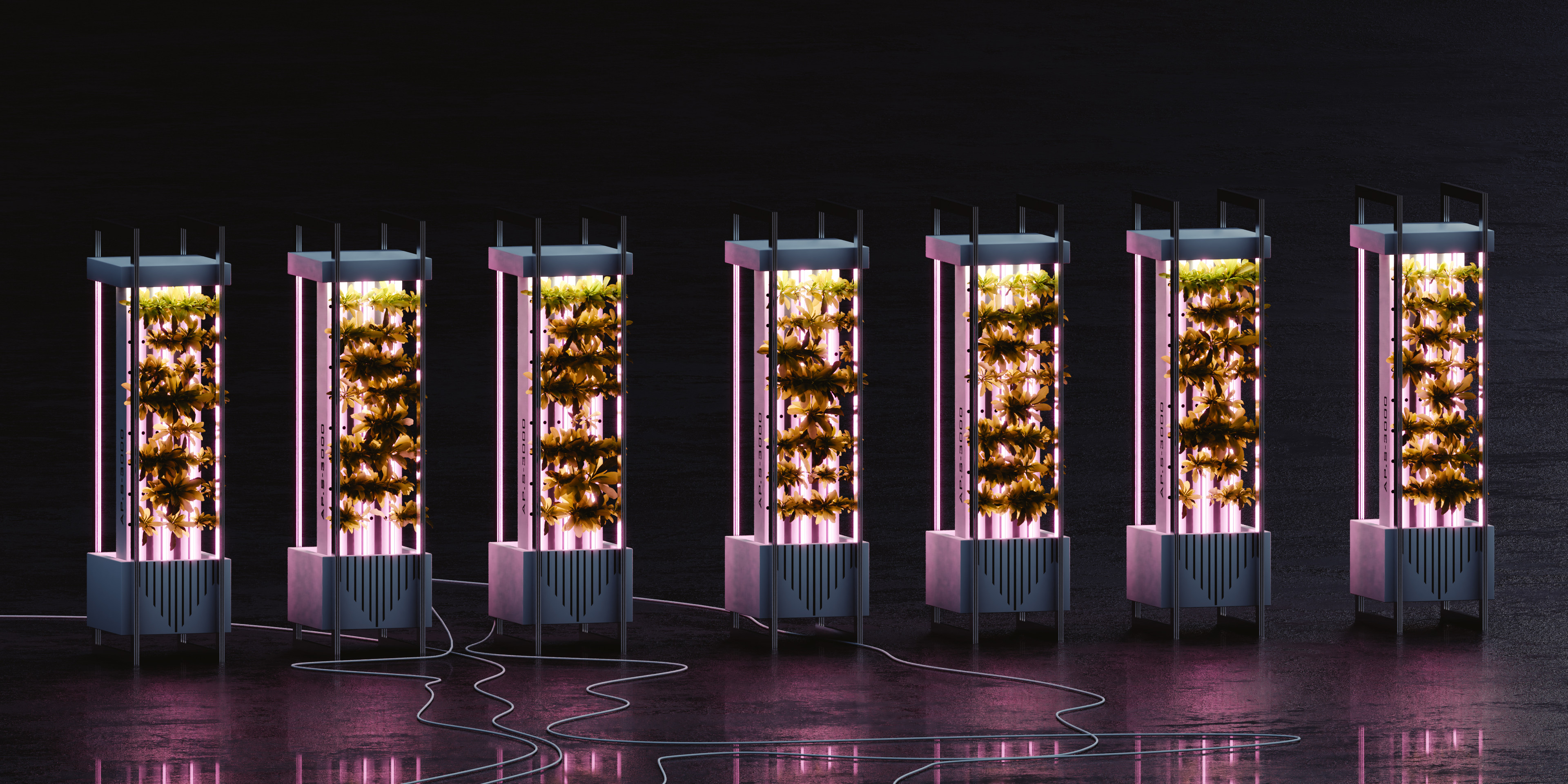 wojtek-fikus-sim-aushab-aeroponics.jpg