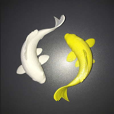 3D print of my Ying Yang Carp