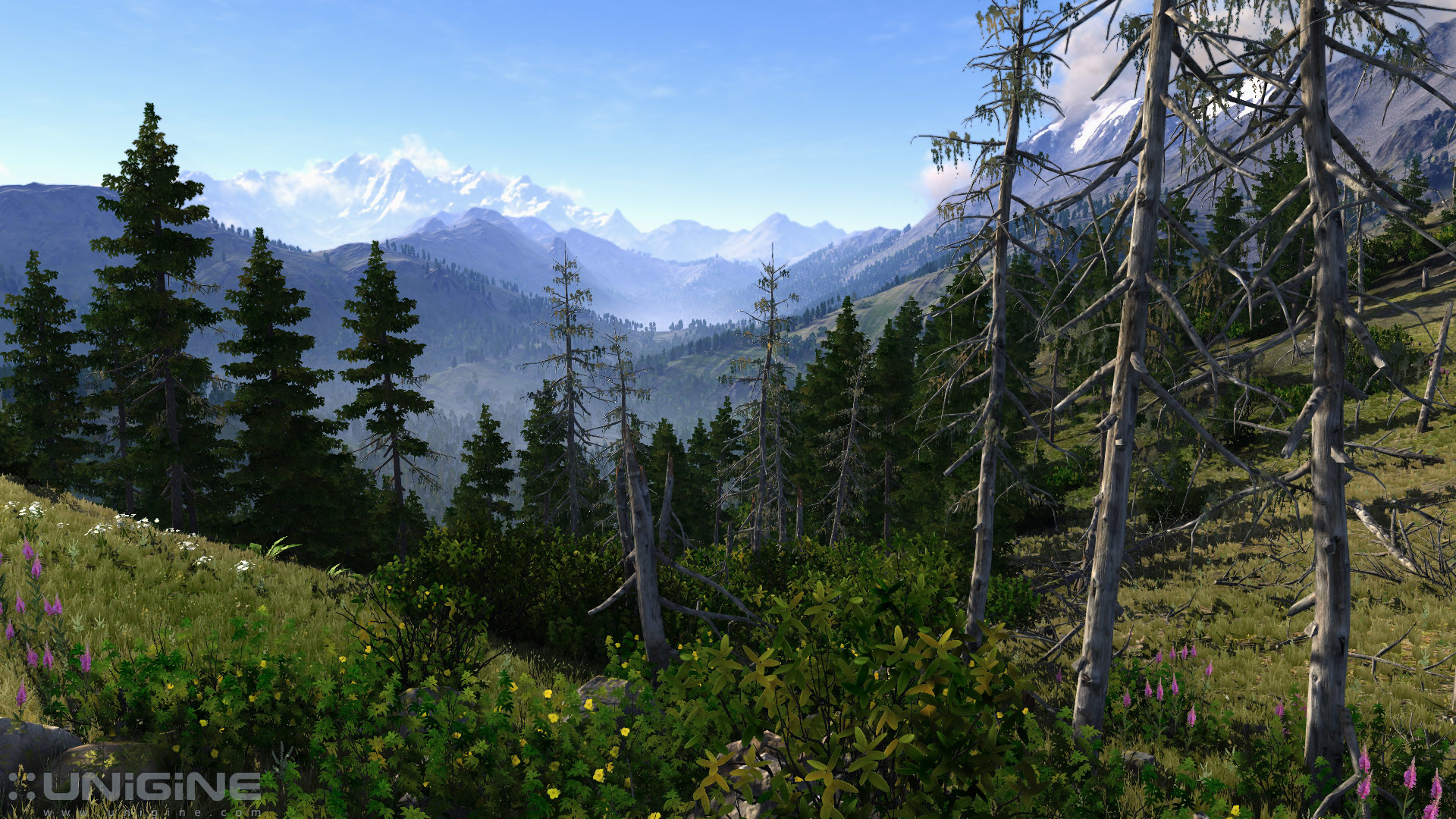 Unigine Studio - Valley Benchmark (2013)